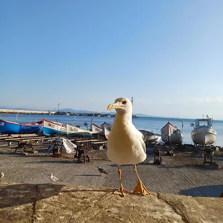 и анхиало Pensiune *