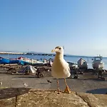 и анхиало Πανσιόν *