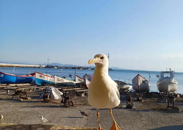 и анхиало Vendégház *